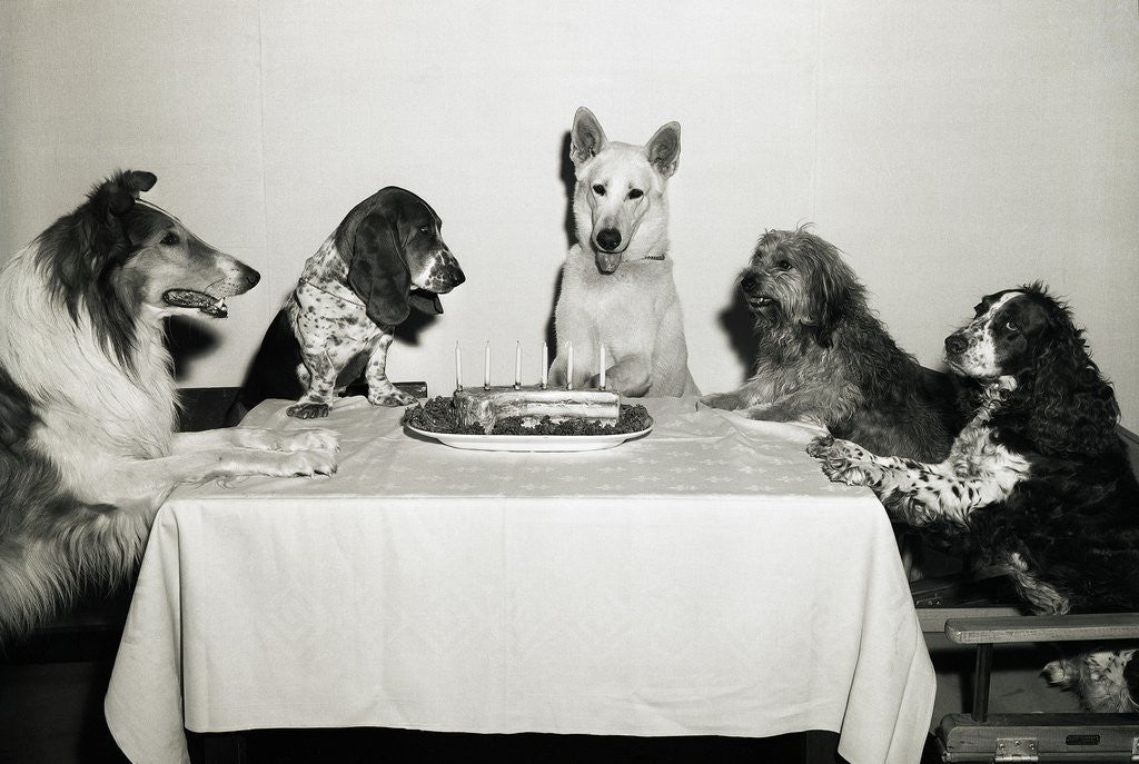 Detail of Movie Dog and Friends Celebrating Birthday by Anonymous