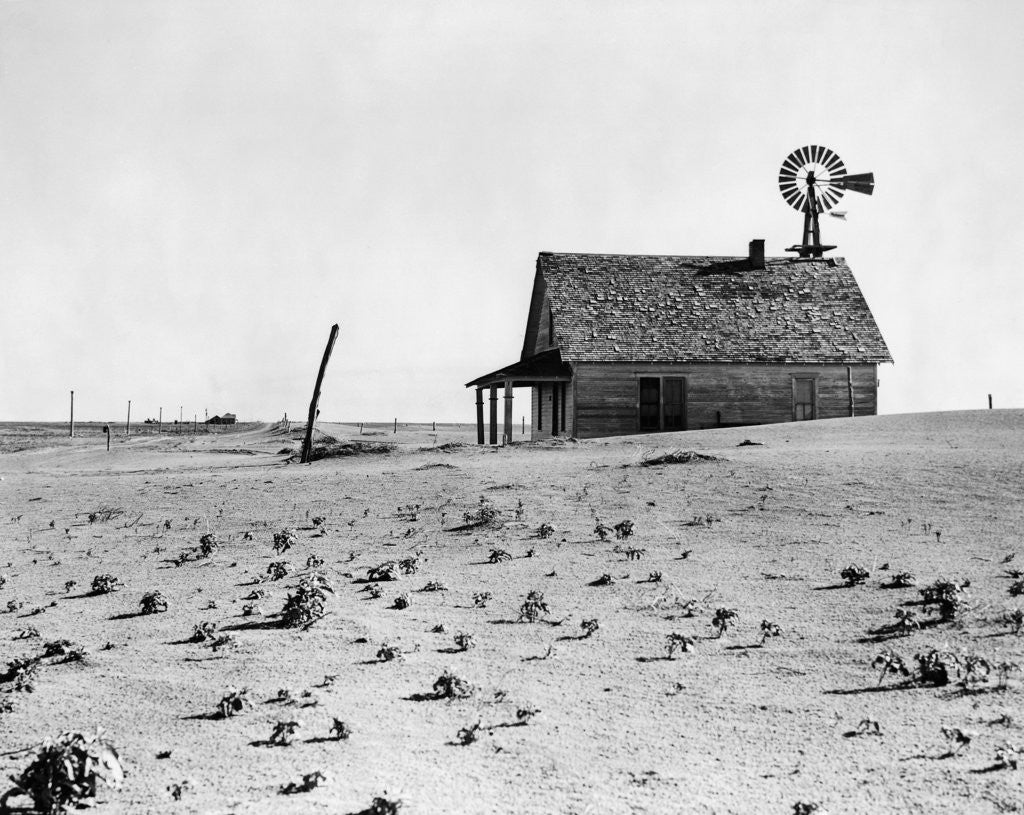 Detail of Dust Bowl Farm in Texas by Corbis