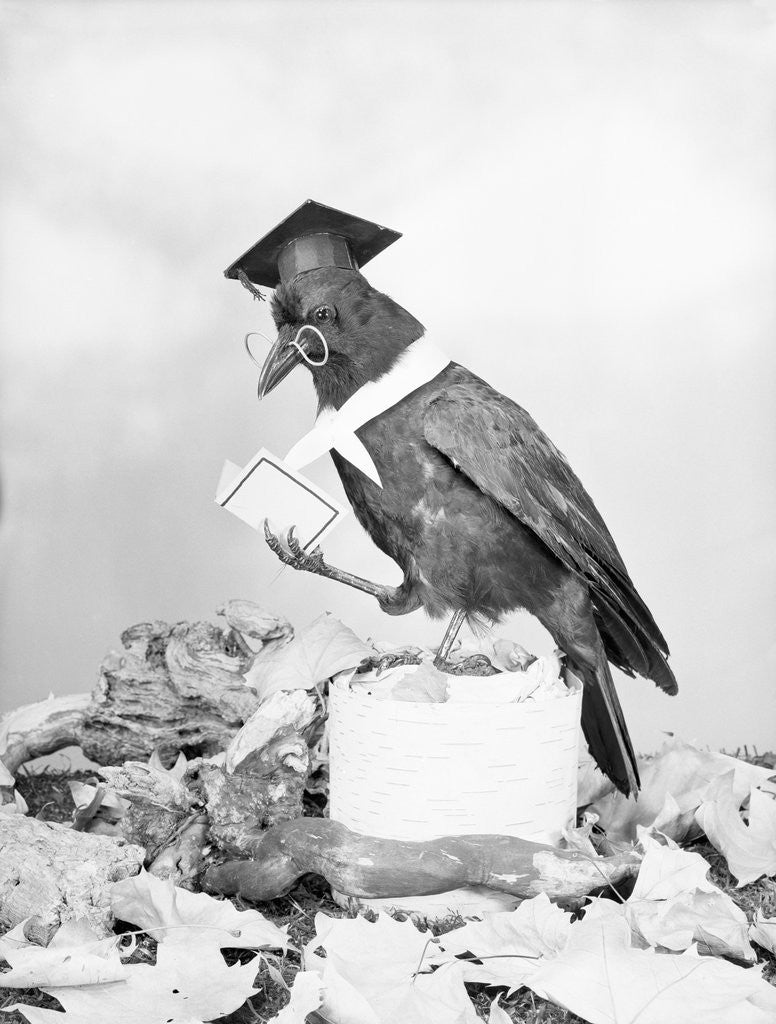 Detail of Bird with Glasses, Hat, and Folded Paper by Anonymous