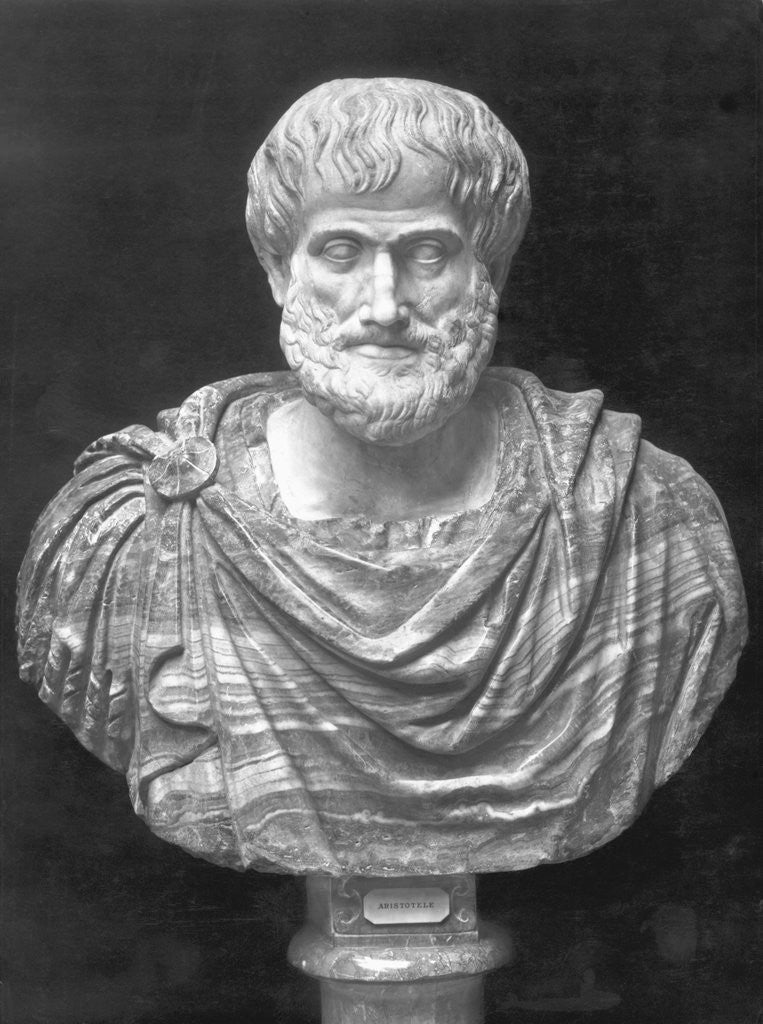 Detail of Bust Of Greek Philosopher Aristotle by Anonymous
