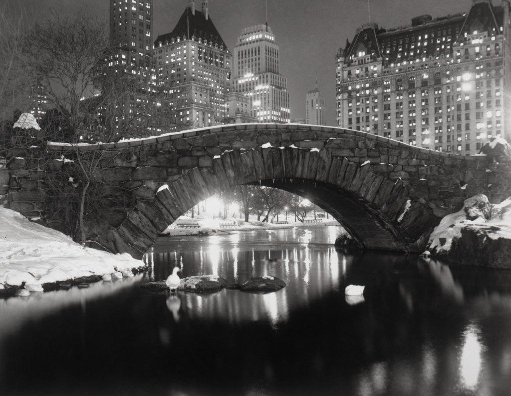 Detail of New York Pond in Winter by Anonymous