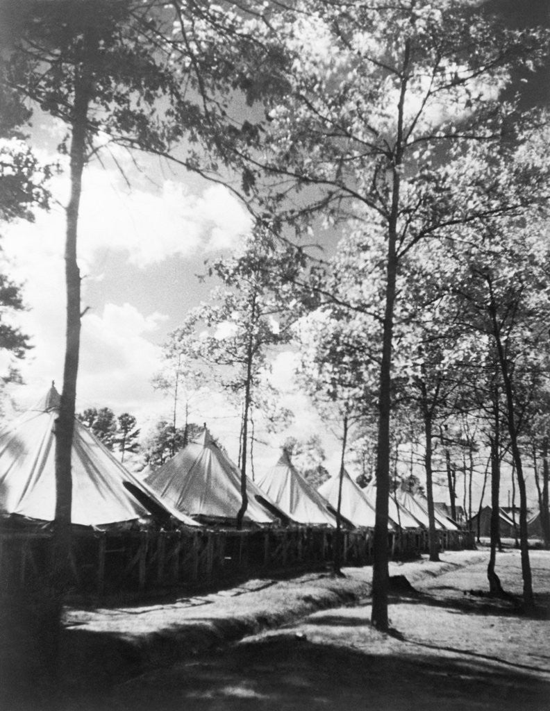 Detail of View Of Army Tents And Trees by Anonymous