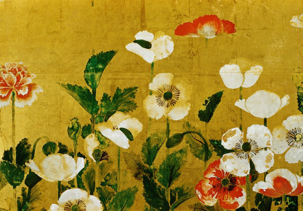 Detail of Detail of Poppies Edo Period Screen by Anonymous