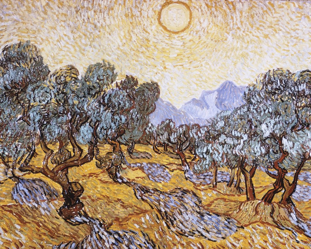 Detail of The Olive Trees by Vincent Van Gogh