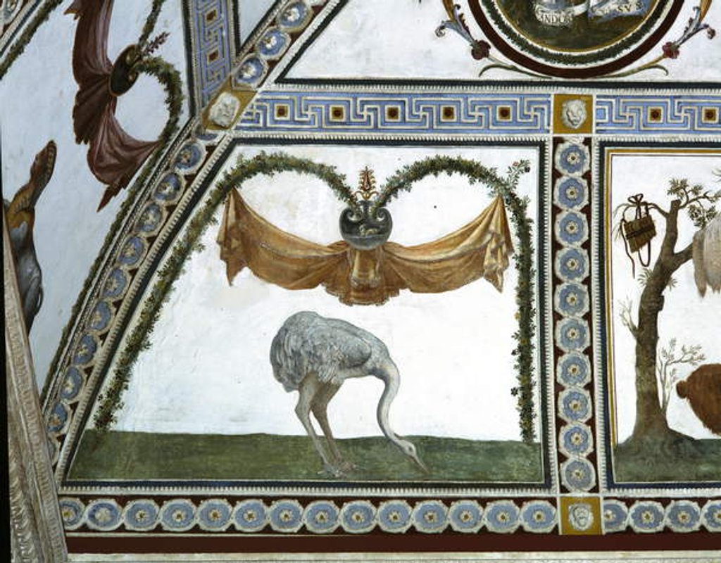 Detail of The 'Camera con Fregio di Amorini' detail of an ostrich, 1520's by Giulio Romano