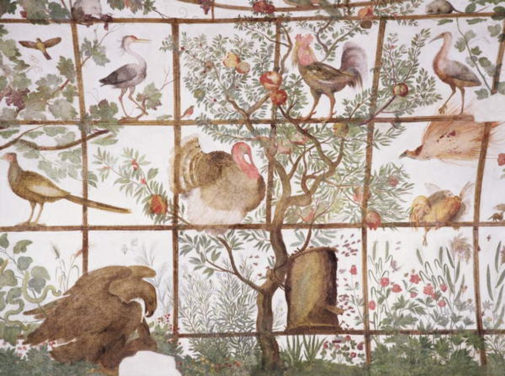 Detail of The antechamber of the 'Studiolo' of Francesco de'Medici detail of decoration depicting birds in a garden pergola, 1564-75 by Nanni di B. Bigio & Bartolomeo Ammannati
