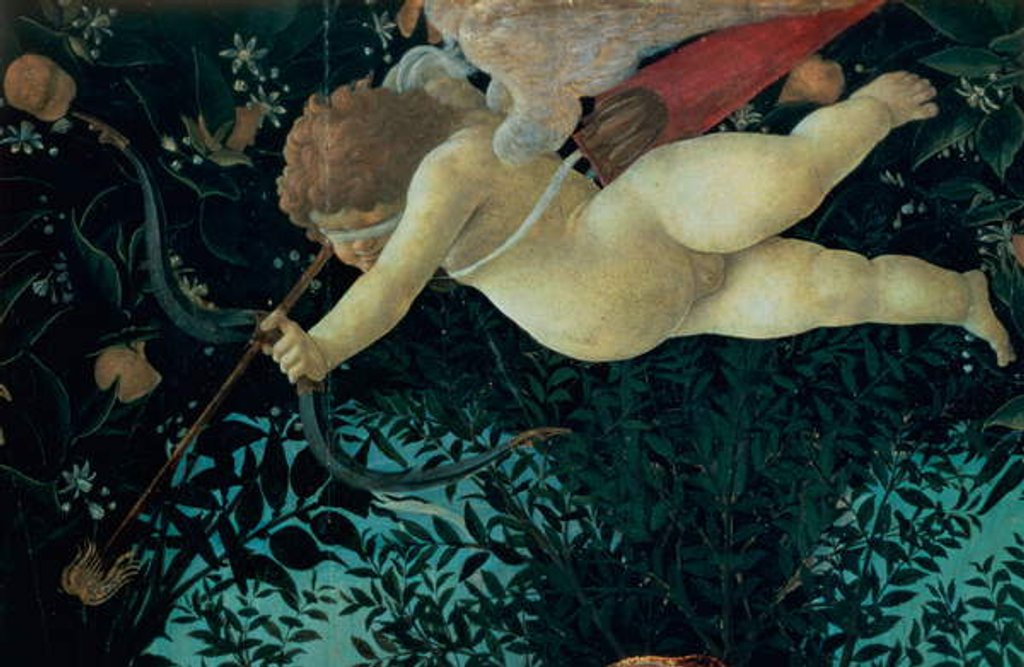 Detail of Detail of Cupid by Sandro Botticelli