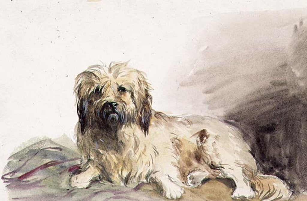 Detail of The Artist's Dog, c.1860 by John Adam P. Houston