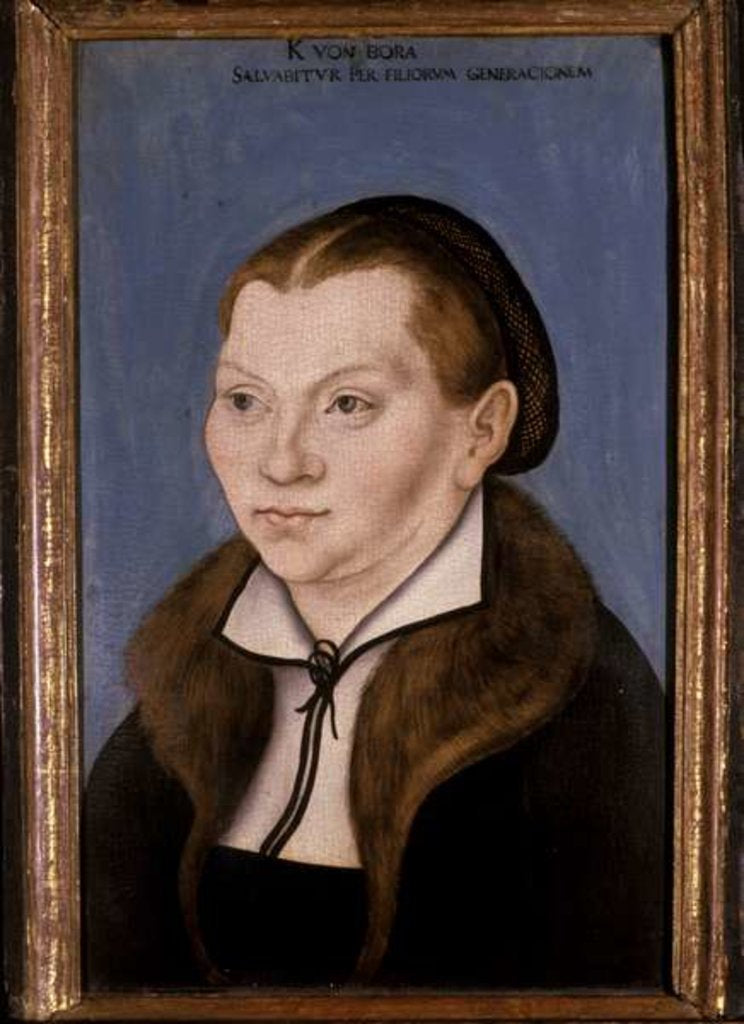 Detail of Katharina Luther, 1529 by Lucas the Elder Cranach