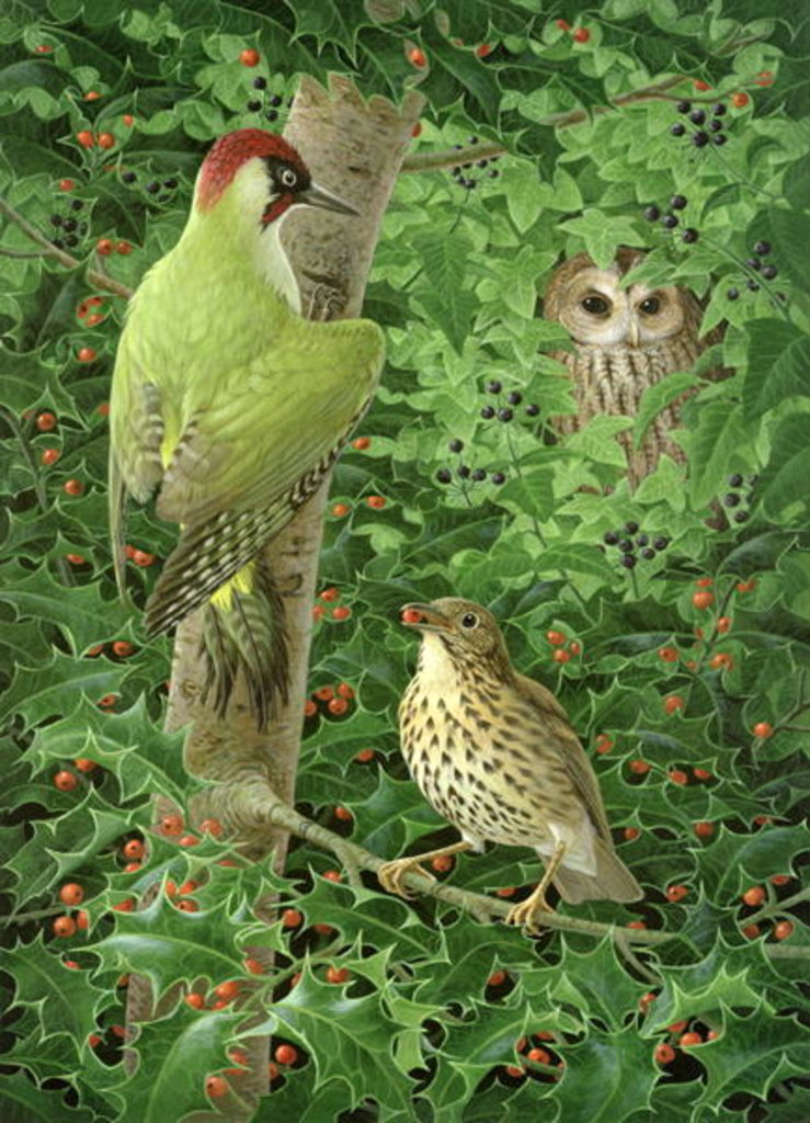 Detail of Woodpecker, Owl and Thrush by Birgitte Hendil