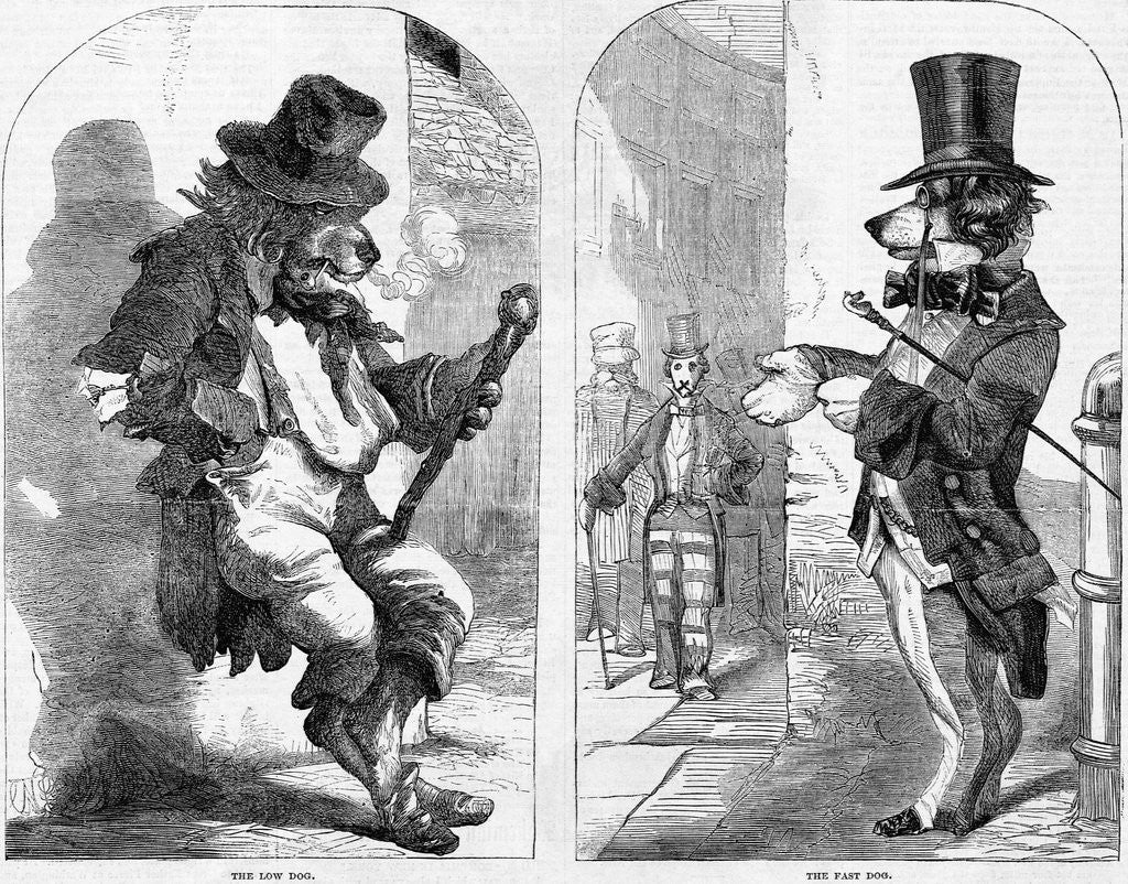 Detail of Dogograph by Anonymous