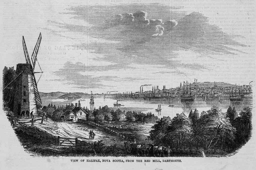 Detail of Halifax, Nova Scotia by Anonymous