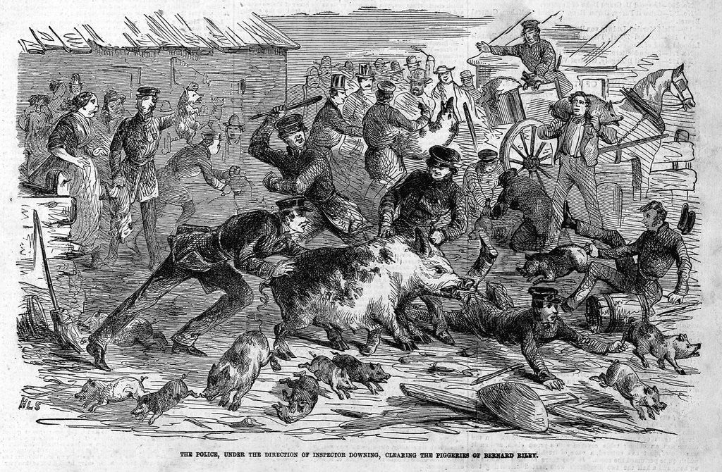 Detail of Police Chasing Pigs by Anonymous