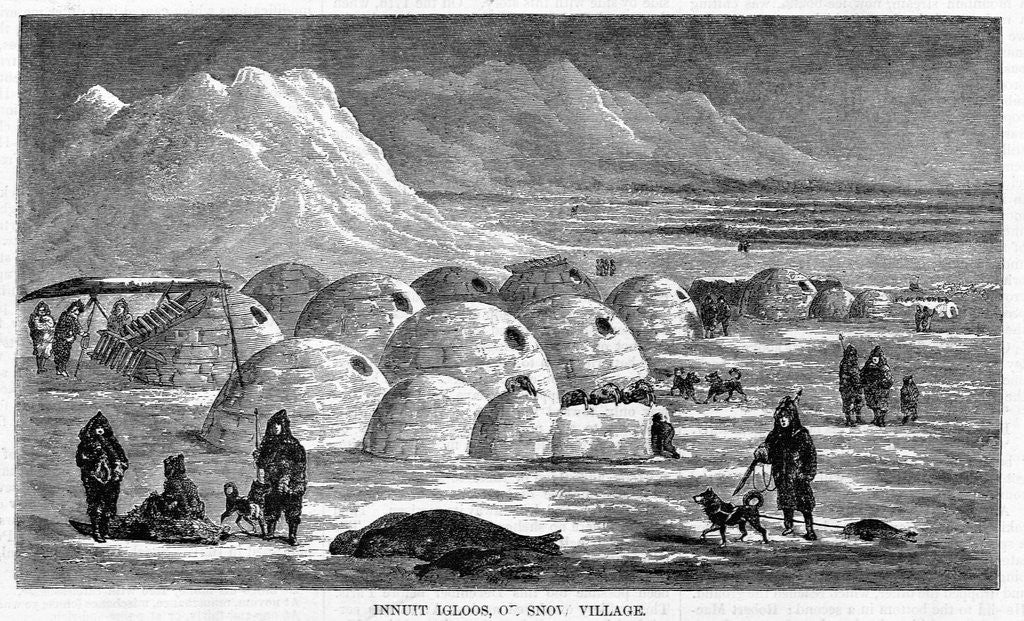 Detail of Innuit Igloos, or Snow Village Illustration by Anonymous