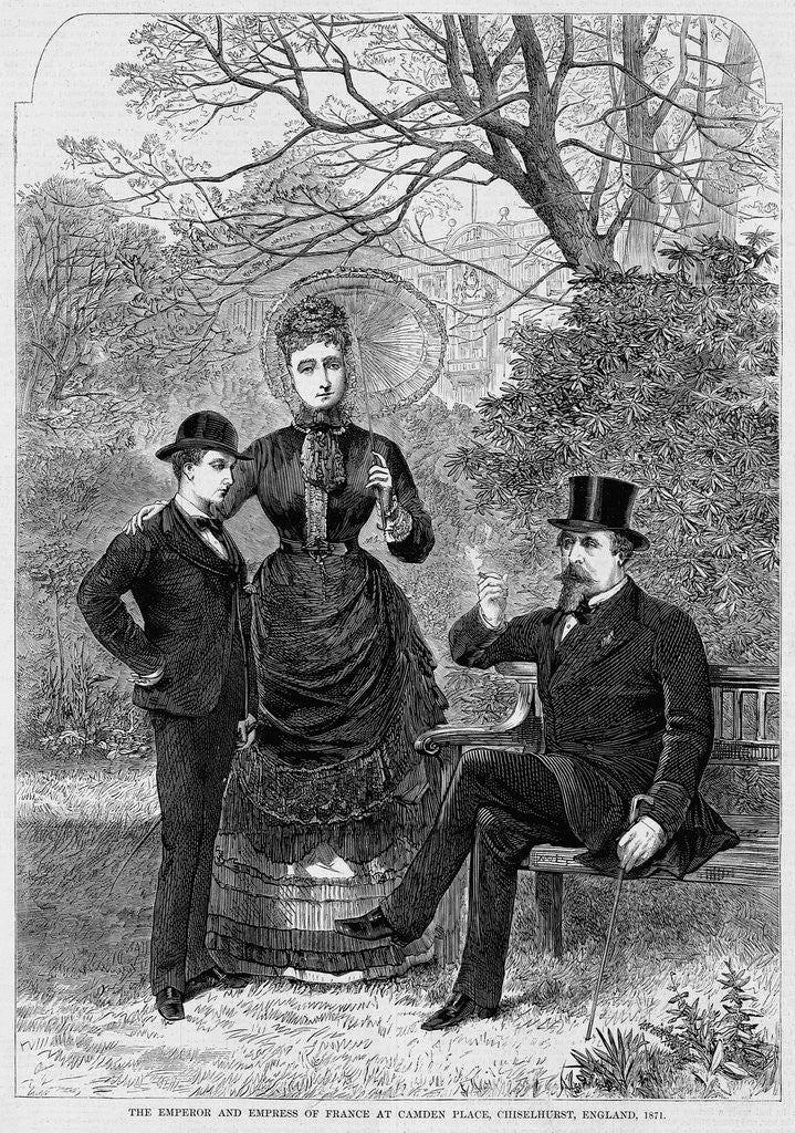 Detail of Exiled French Emperor by Anonymous