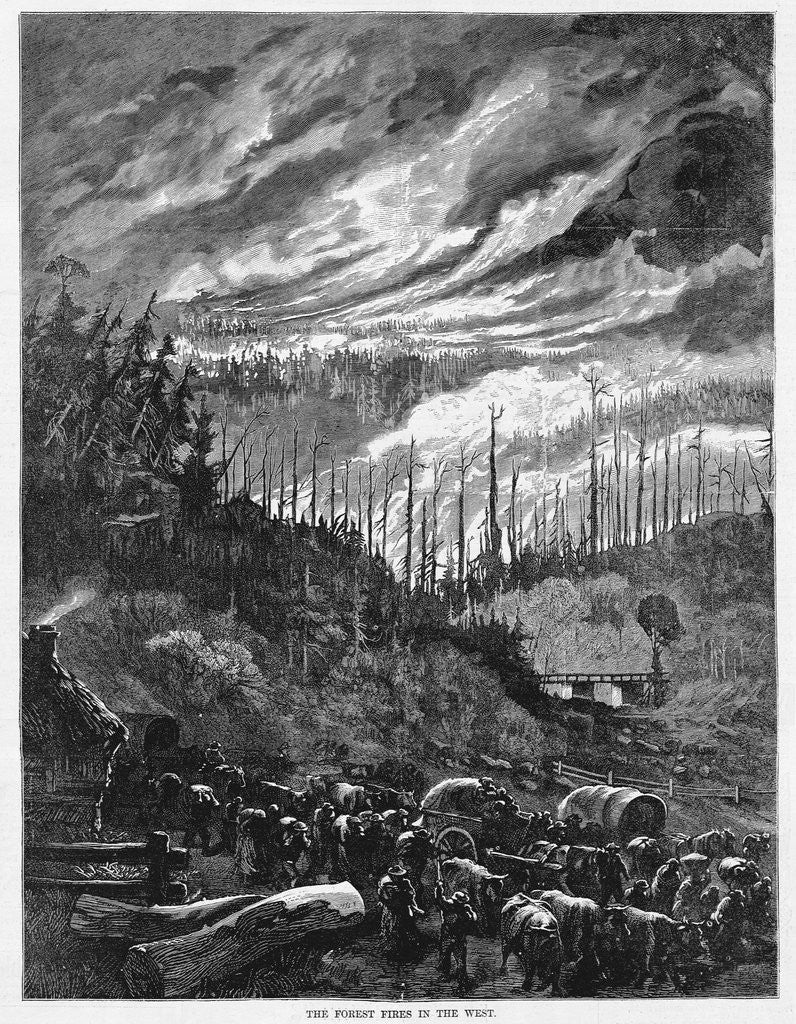 Detail of Forest Fire in Wisconsin by Anonymous