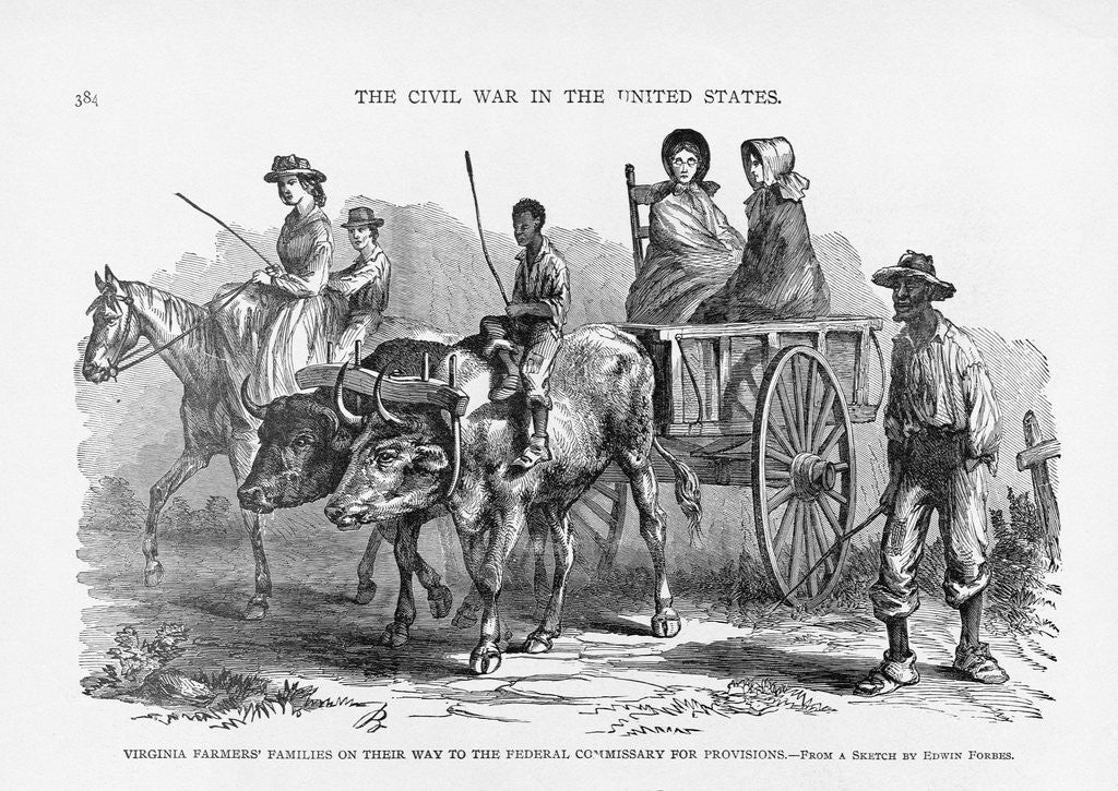 Detail of Virginia Farmer's Family by Anonymous