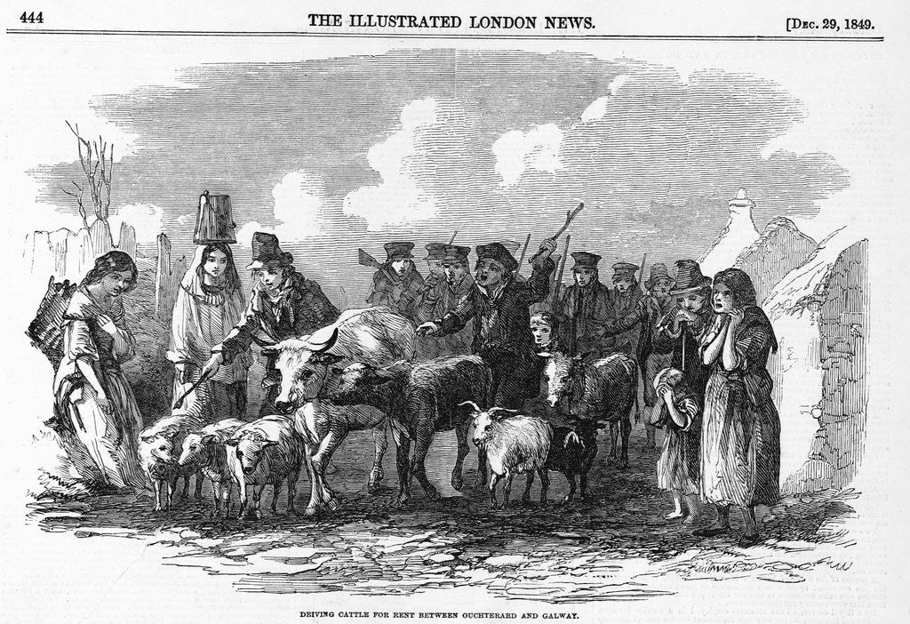 Detail of Irish Cattle Drive by Anonymous