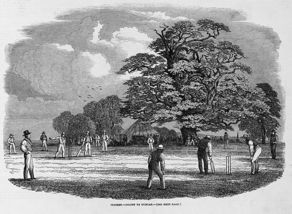 Detail of Cricket Game by Anonymous