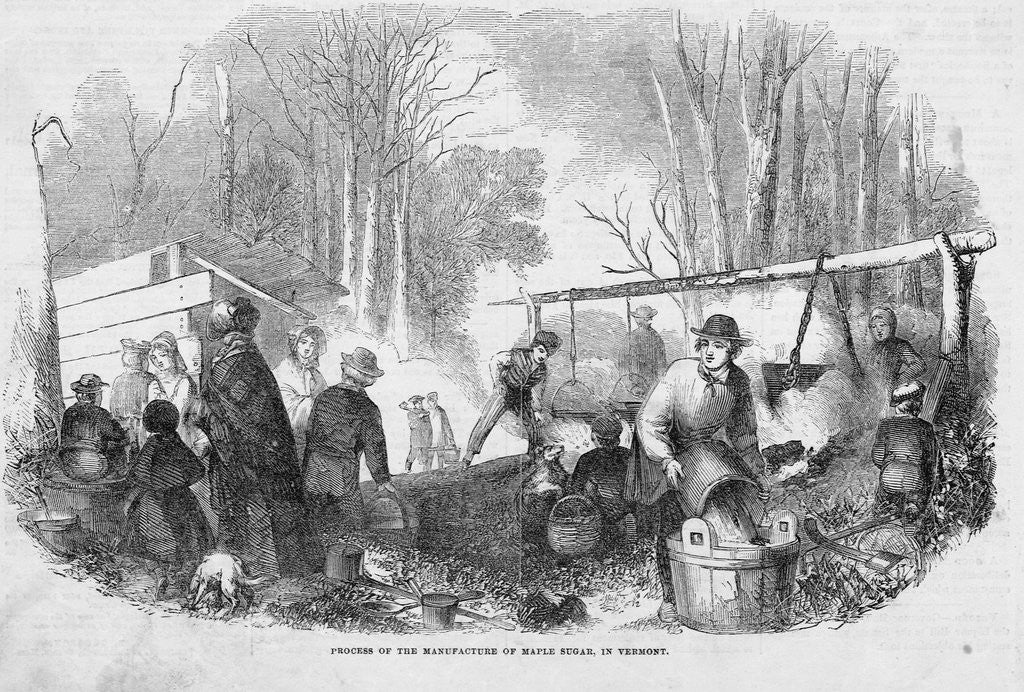 Detail of Making Maple Sugar by Anonymous