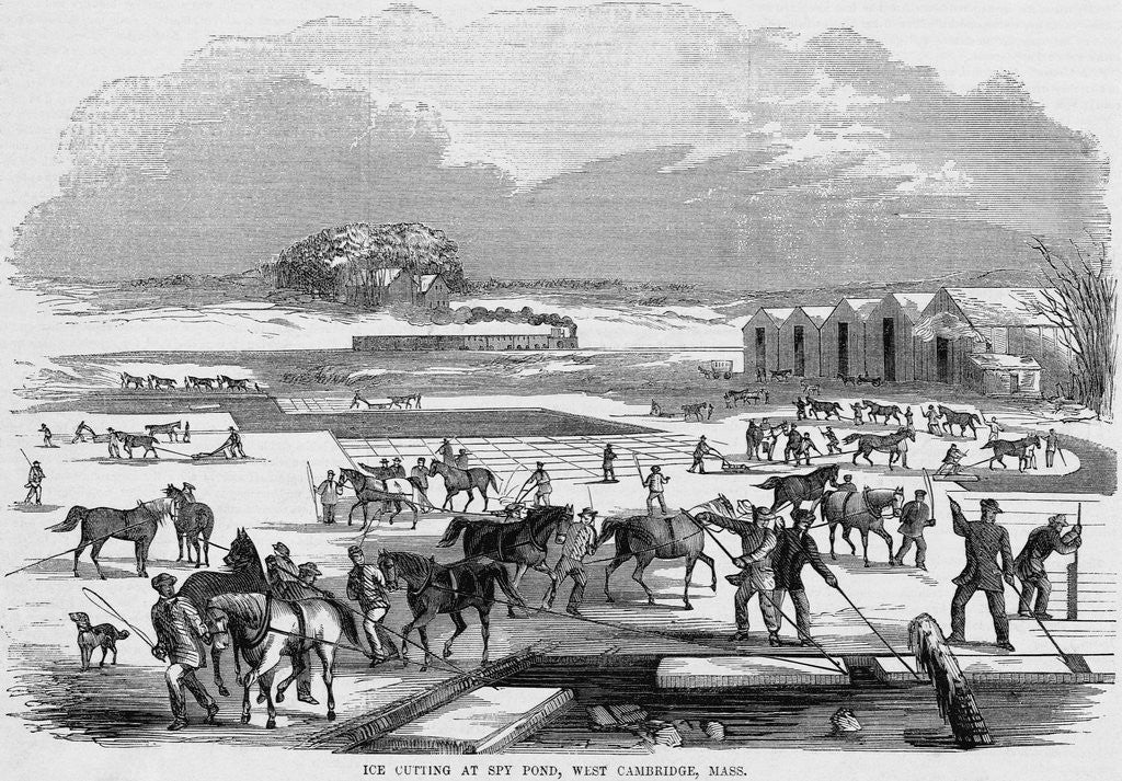 Detail of Cutting Ice at Spy Pond by Anonymous