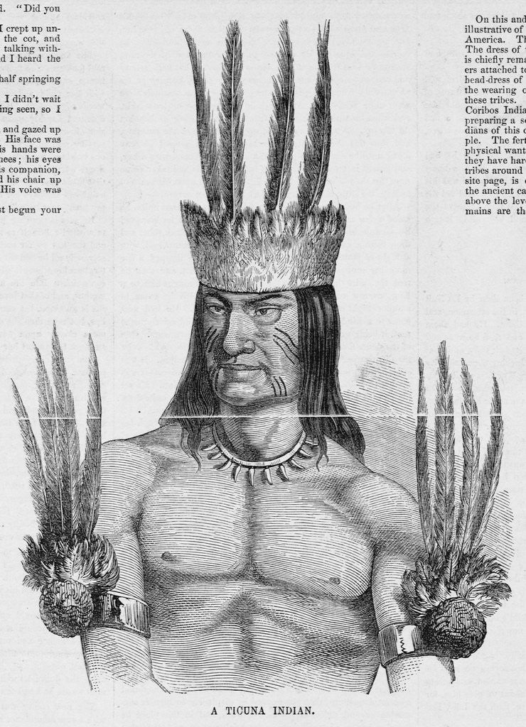 Detail of Portrait of a Tucuna Indian by Anonymous