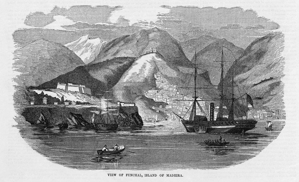 Detail of Harbor at Funchal, Madeira by Anonymous