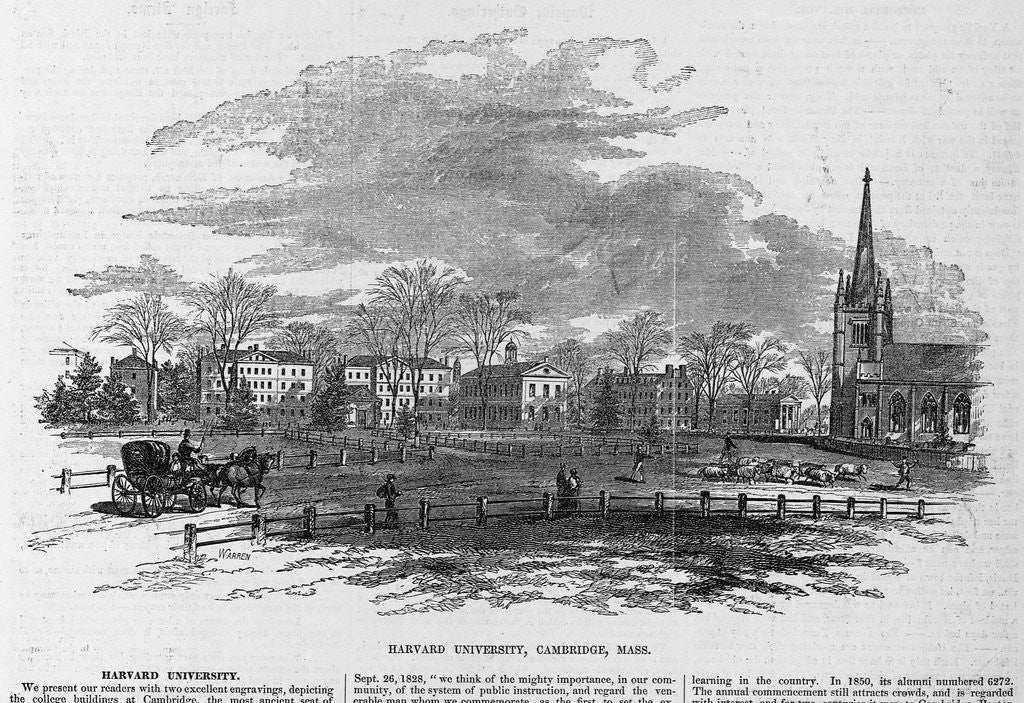 Detail of Harvard University, Cambridge, Mass by Anonymous