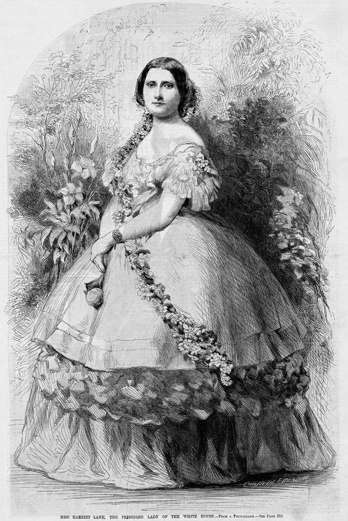 Detail of Harriet Lane by Anonymous