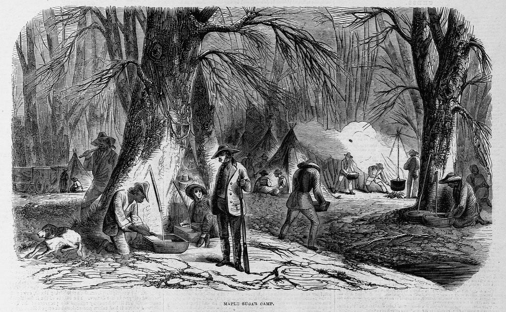 Detail of Maple Sugar Camp by Anonymous