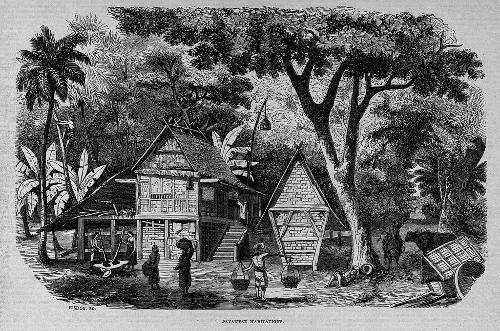 Detail of Javanese Habitations by Anonymous