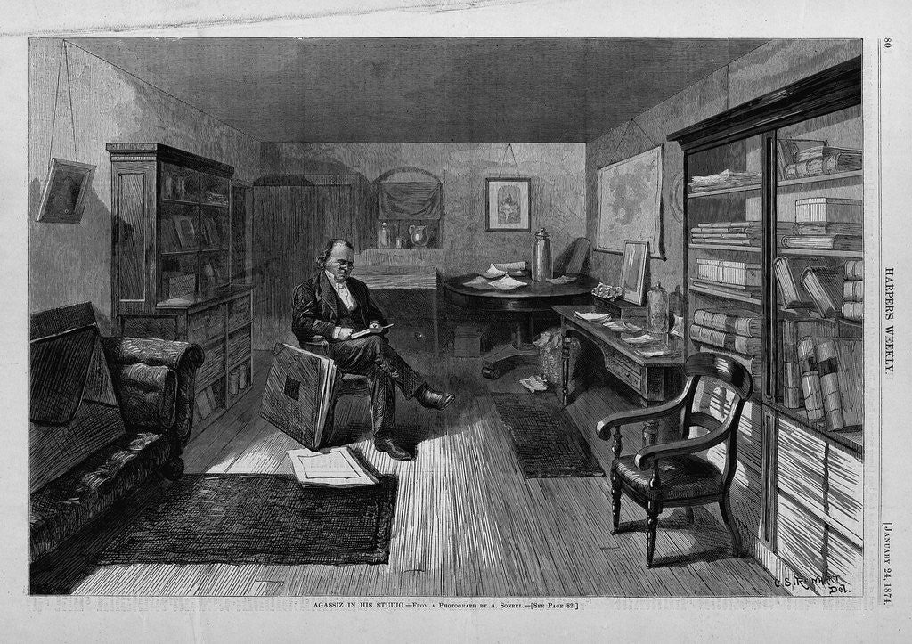 Detail of Agassiz in his Studio by Anonymous