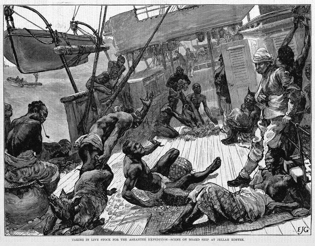 Detail of Taking in Live Stock for the Ashantee Expedition-Scene on Board Ship at Jellah Koffee by Anonymous