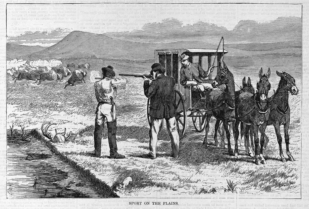 Detail of Sport on the Plains by Anonymous