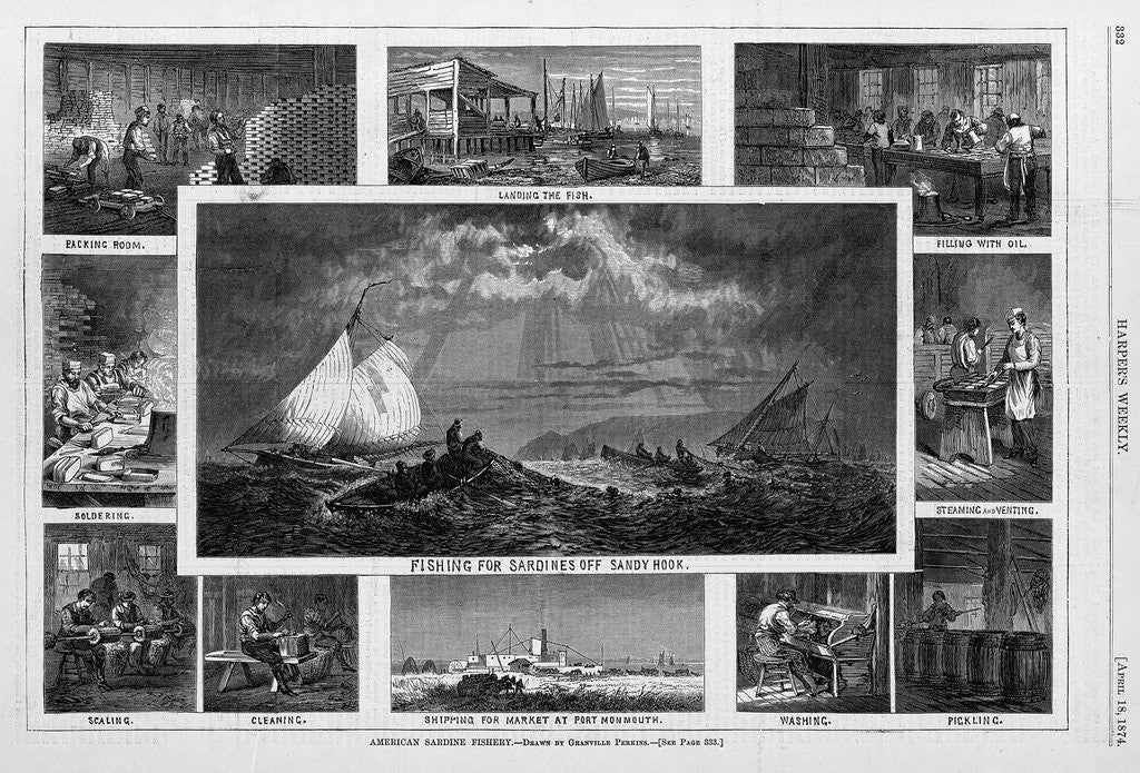 Detail of American Sardine Fishery by Anonymous