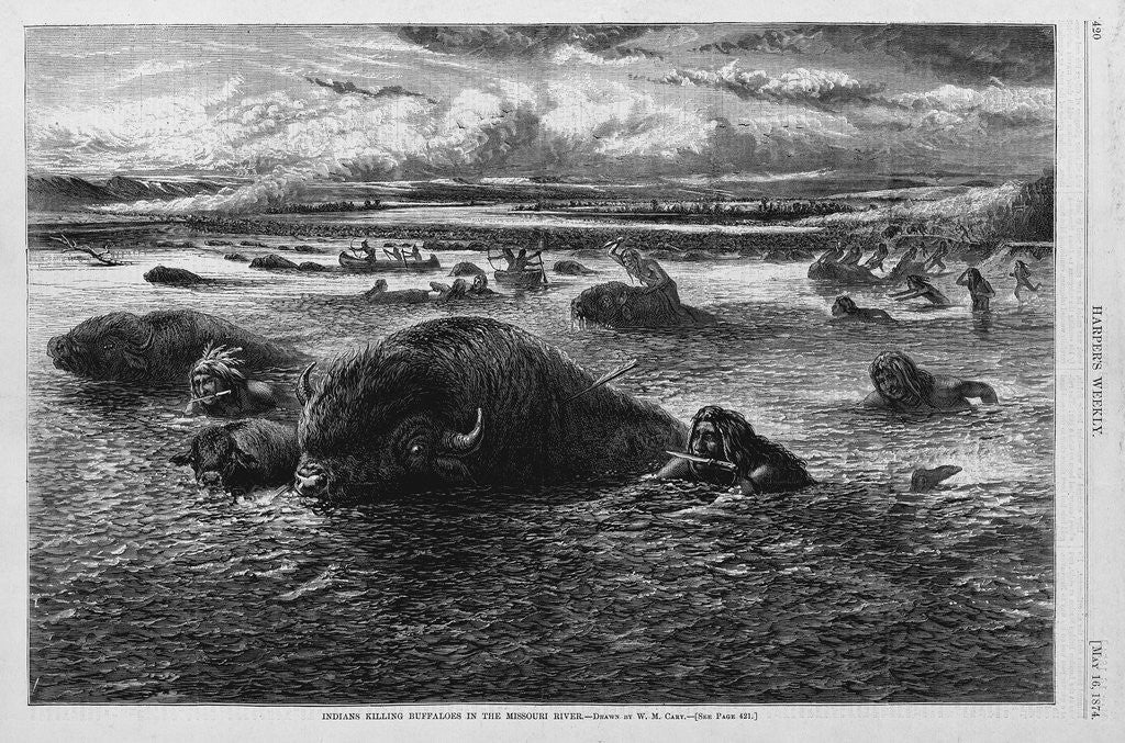 Detail of Indians Killing Buffaloes in the Missouri River by Anonymous
