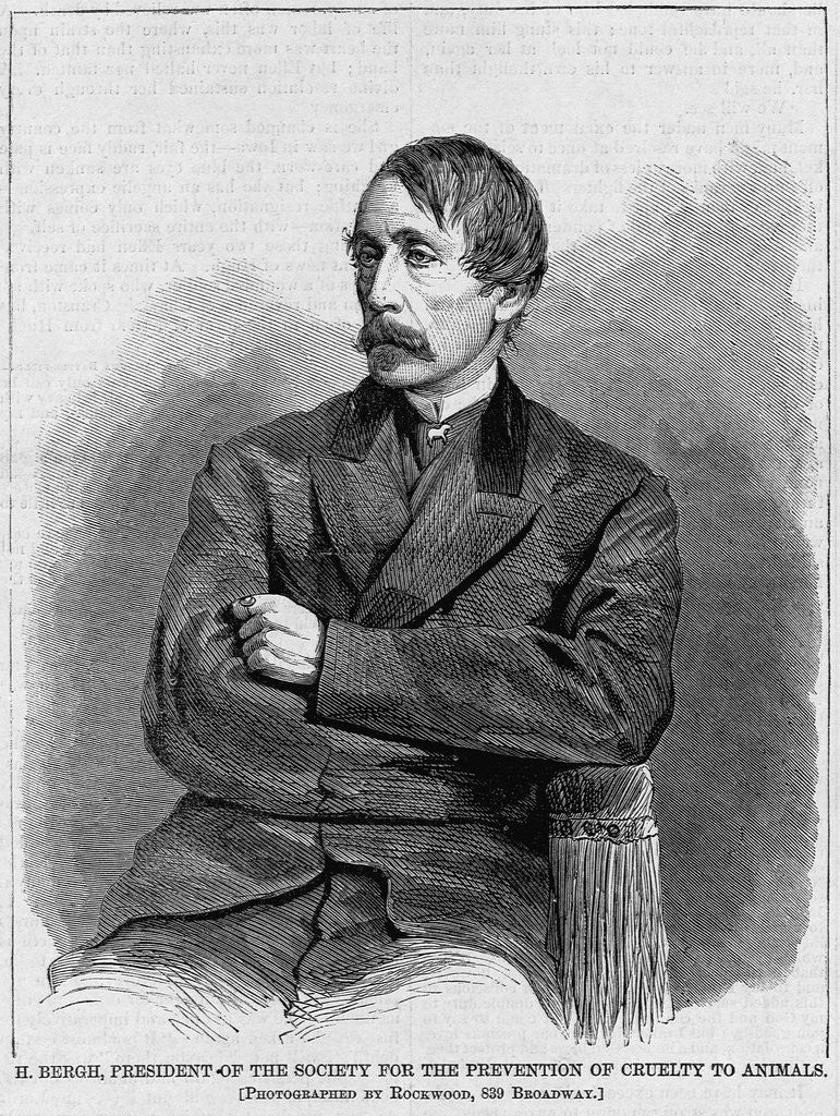 Detail of H. Bergh, president of the society for the prevention of cruelty to animals. Photographed by Rockwo
