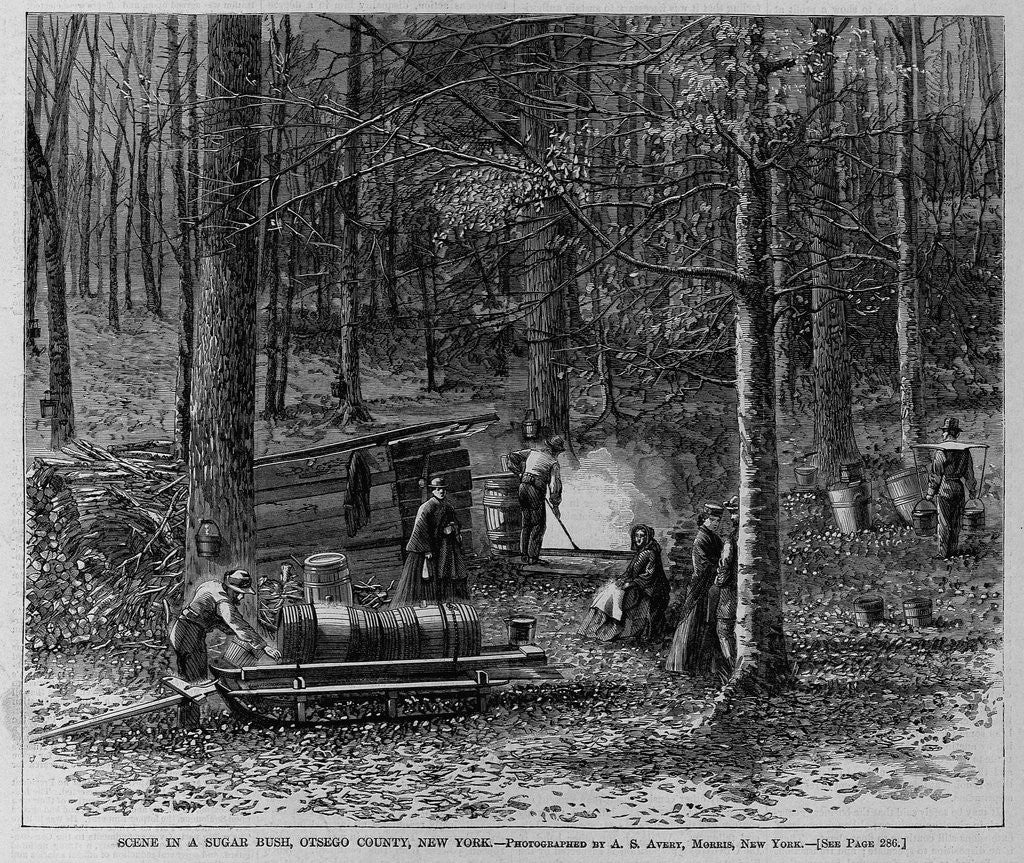 Detail of Scene in a sugar bush, Otsego County, New York by A. S. Avery by Anonymous