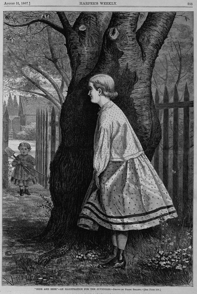 Detail of Hide and seek - an illustration for the juveniles by Frank Bellew