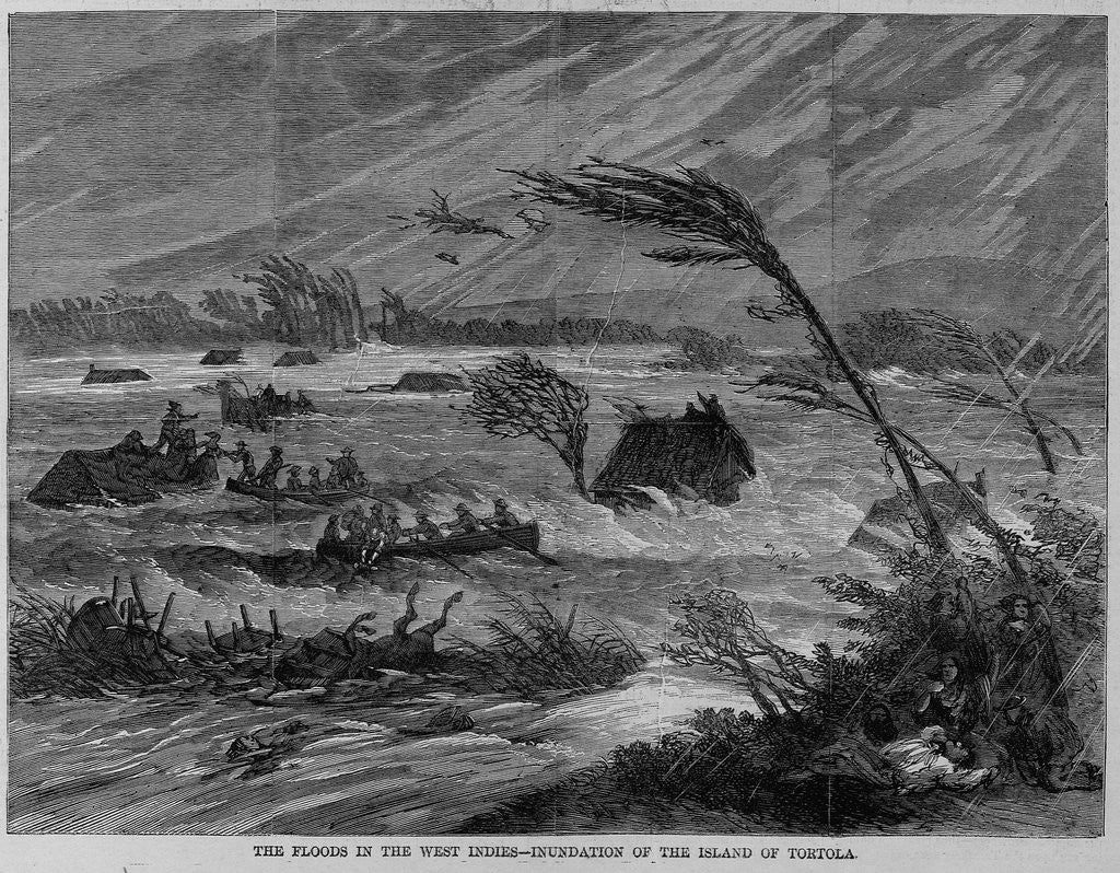 Detail of The floods in the West Indies - inundation of the island of Tortola by Anonymous