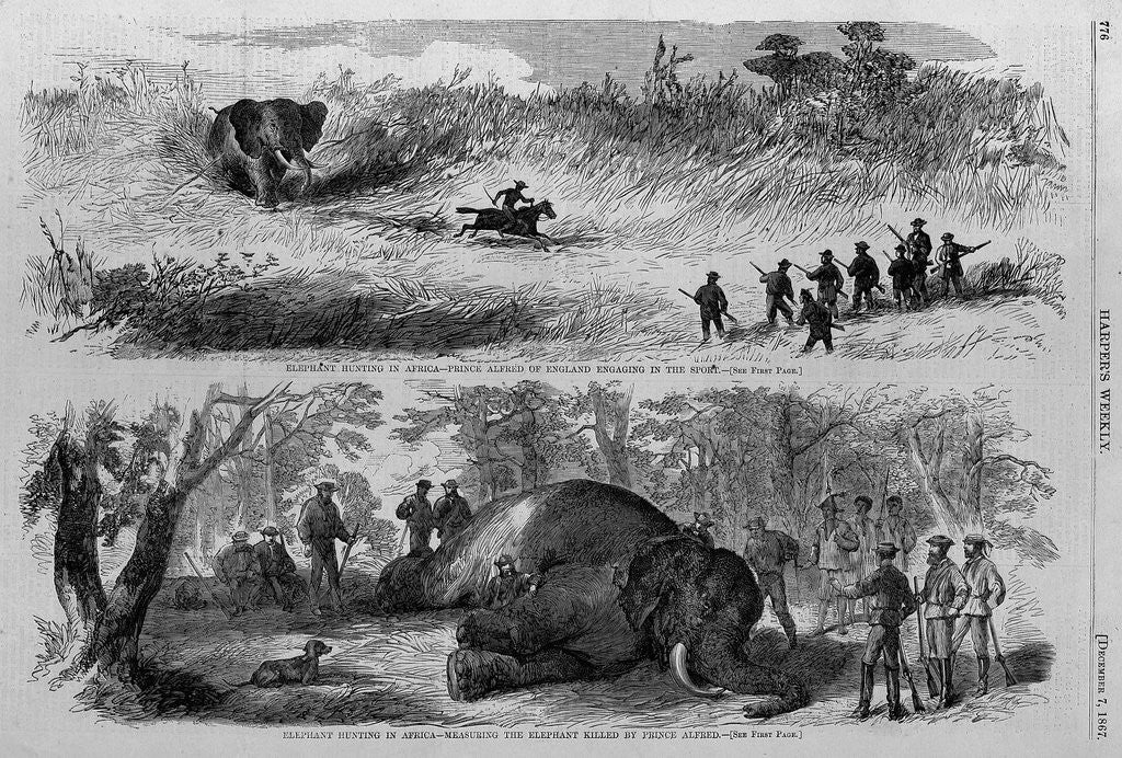 Detail of Elephant hunting in Africa - Prince Alfred of England engaging in the sport by Anonymous