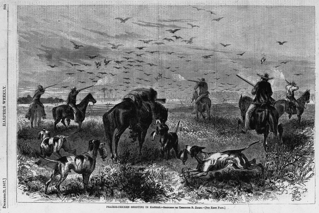 Detail of Prairie-chichen shooting in Kansas by Theodore R. Davi