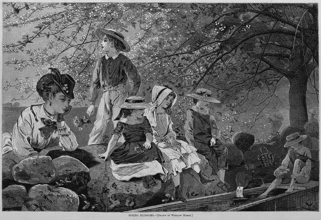Detail of Spring blossoms by Winslow Homer
