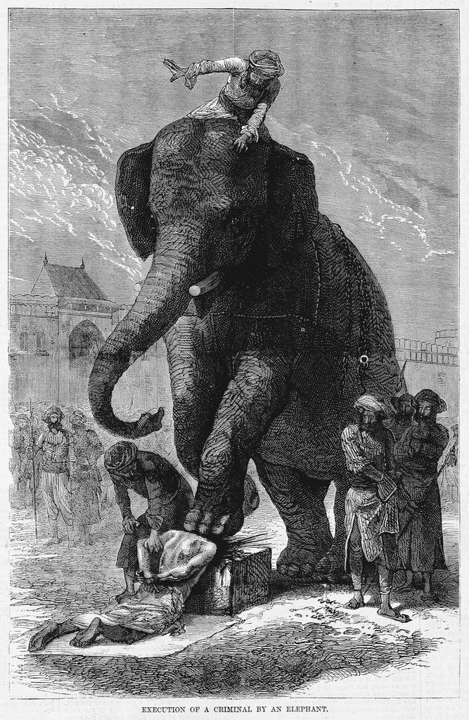 Detail of Execution of a Criminal By an Elephant by Corbis