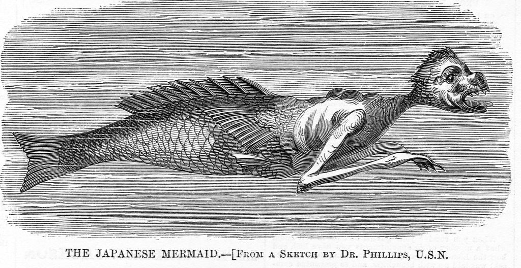 Detail of The japanese mermaid. From a sketch by Dr. Phillips, U.S.N by Anonymous