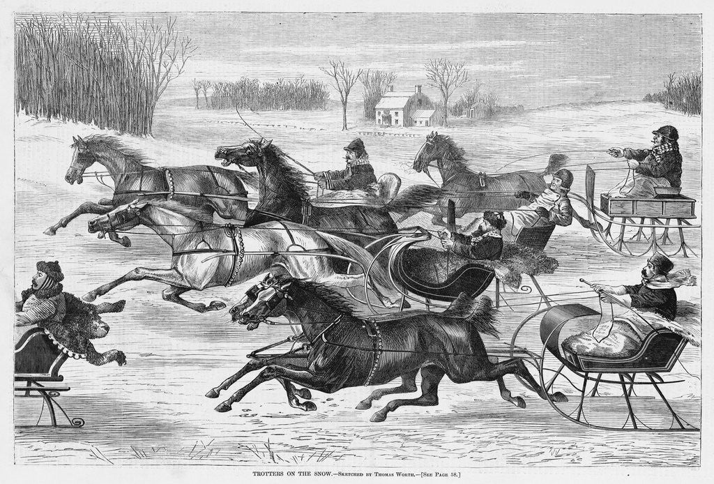 Detail of Trotters on the Snow by Anonymous