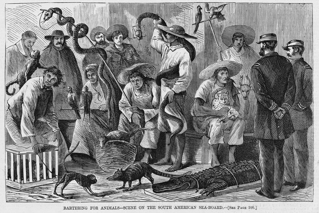 Detail of Bartering For Animals - Scene on the South American Sea-Board by Anonymous