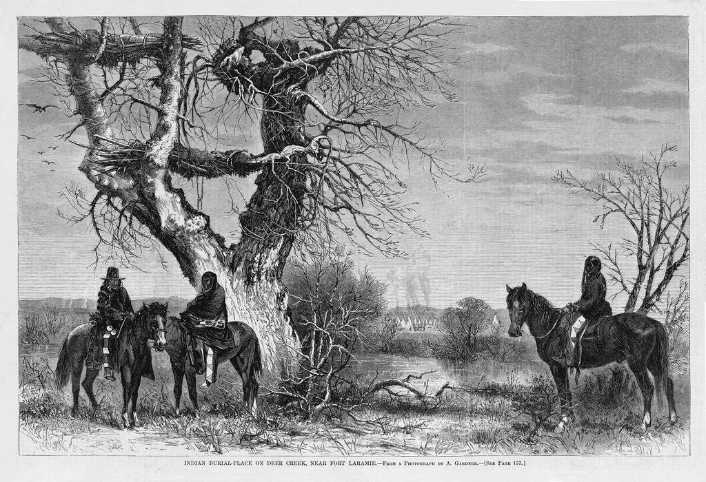 Detail of Indian Burial-Place on Deer Creek, Near Fort Laramie by Anonymous