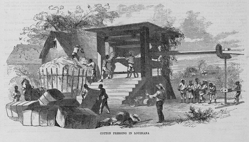 Detail of Cotton Pressing in Louisiana by Anonymous