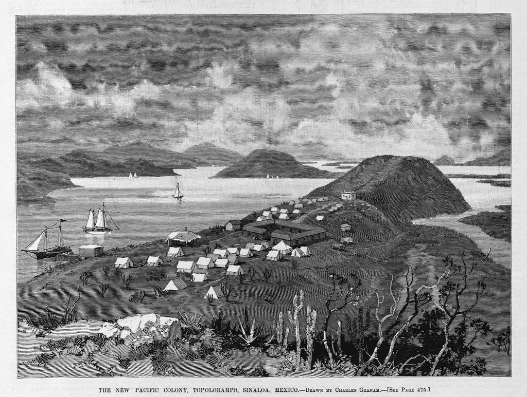 Detail of The New Pacific Colony, Topolobampo, Sinaloa, Mexico by Charles Graham